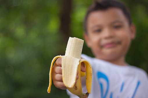 همه چیز درباره میوه خوشمزه موز| انواع موز با خواص موز و مضرات آن|مجله هشتپا